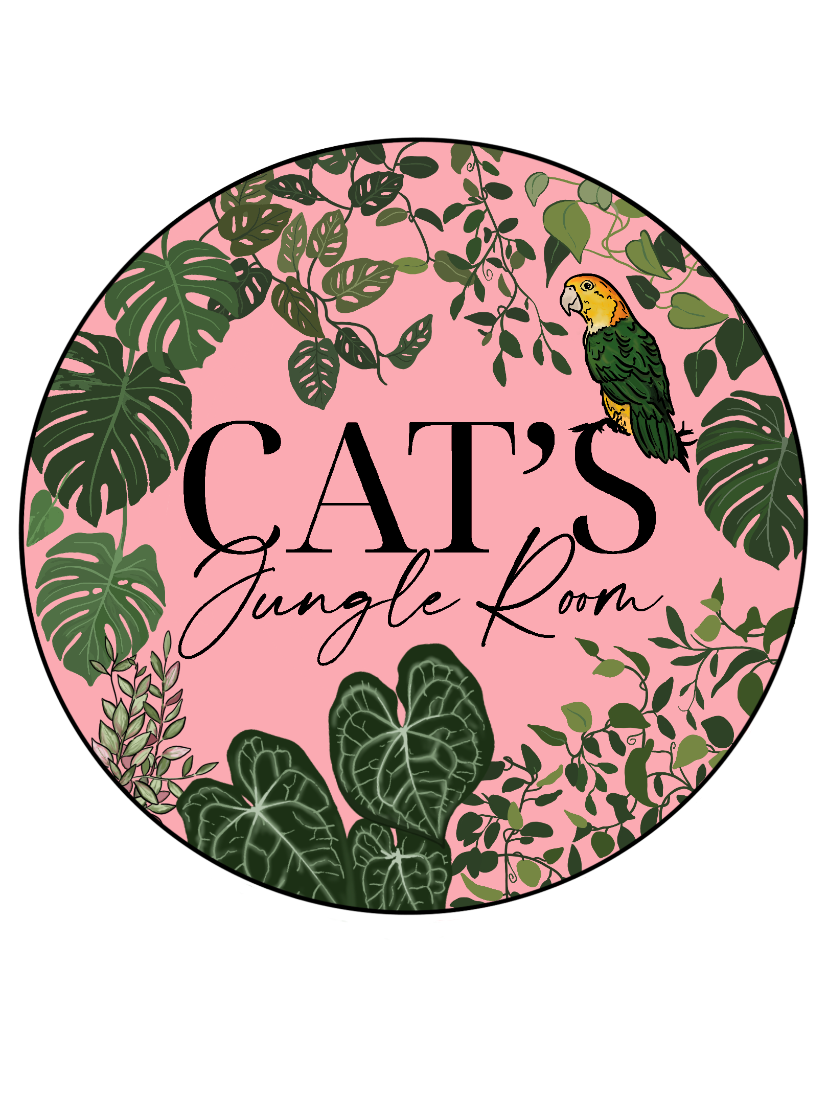 Cat's Jungle Room